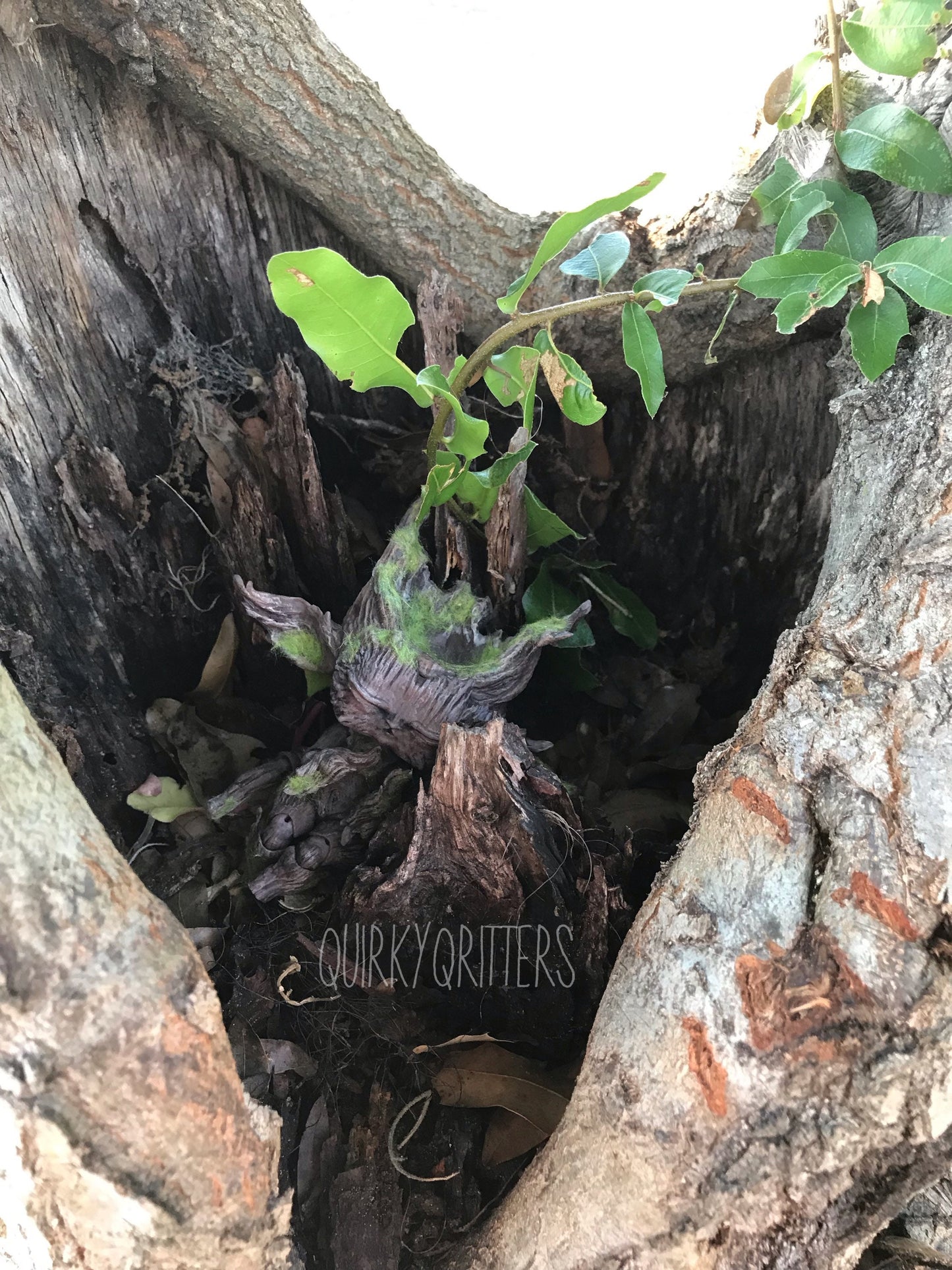 Driftwood: A Resin 3D Printed Dryad Ball Joint Doll