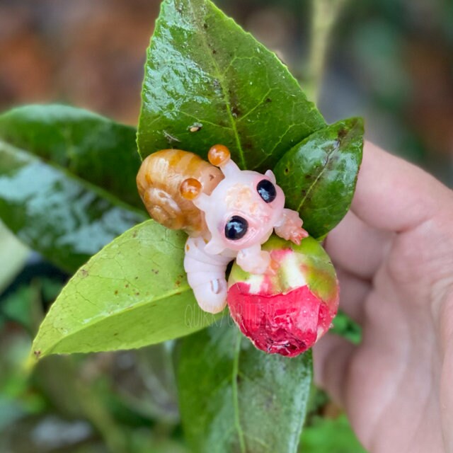 Snail Dragon: The Tiny Dragon Snail Ball Joint Doll