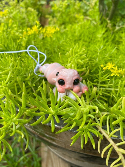 Spider Dragon: The Tiny Dragon Jumping Spider Ball Joint Doll BJD