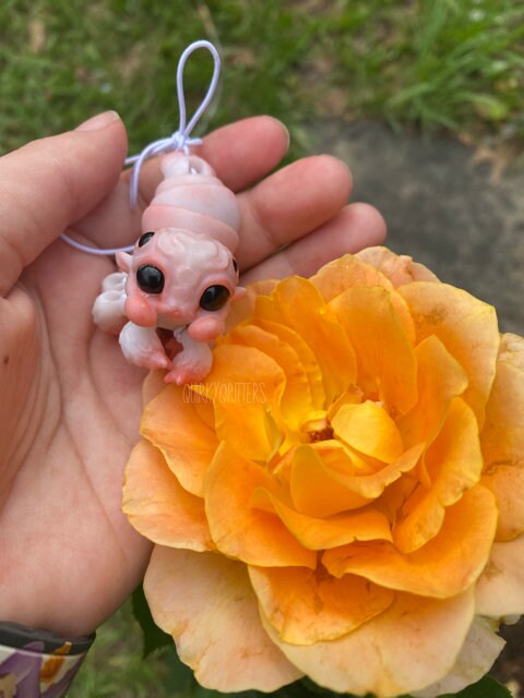 Spider Dragon: The Tiny Dragon Jumping Spider Ball Joint Doll BJD