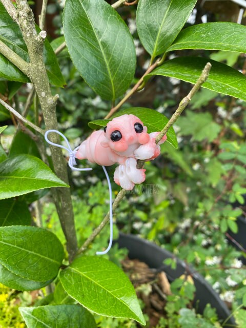 Spider Dragon: The Tiny Dragon Jumping Spider Ball Joint Doll BJD