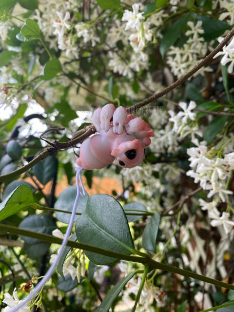 Spider Dragon: The Tiny Dragon Jumping Spider Ball Joint Doll BJD