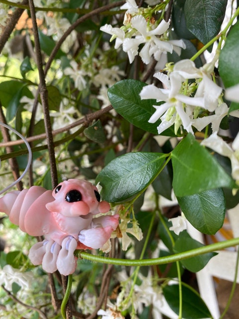 Spider Dragon: The Tiny Dragon Jumping Spider Ball Joint Doll BJD