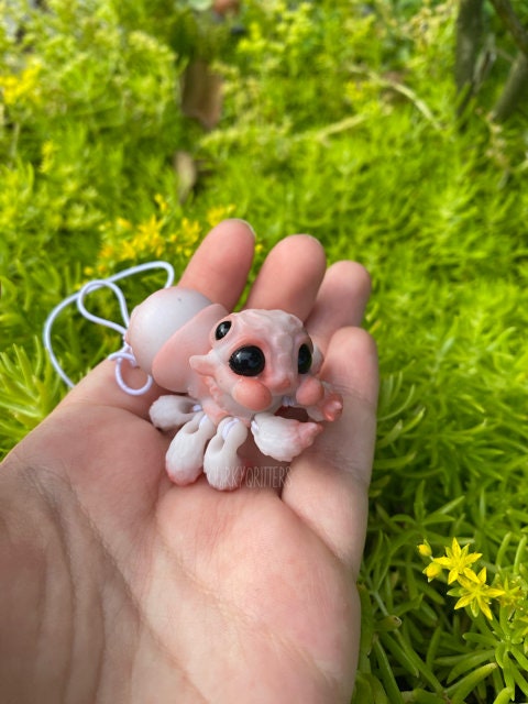 Spider Dragon: The Tiny Dragon Jumping Spider Ball Joint Doll BJD