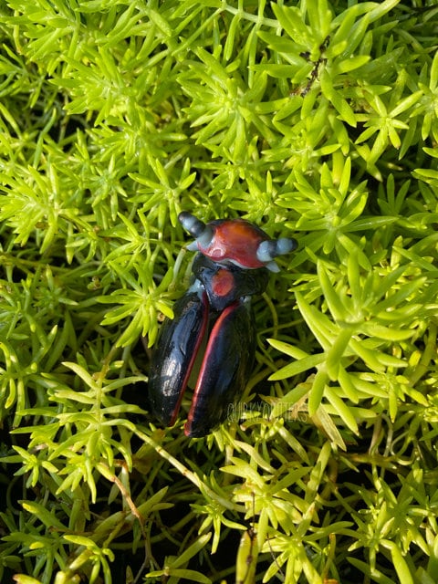 Lampy the Dragon: The Tiny Dragon Firefly Ball Joint Doll BJD