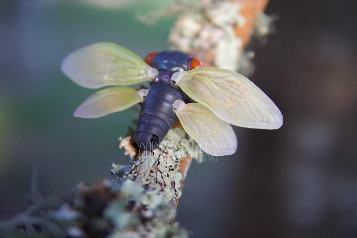Cicada Dragon: The Tiny Dragon Cicada Ball Joint Doll BJD