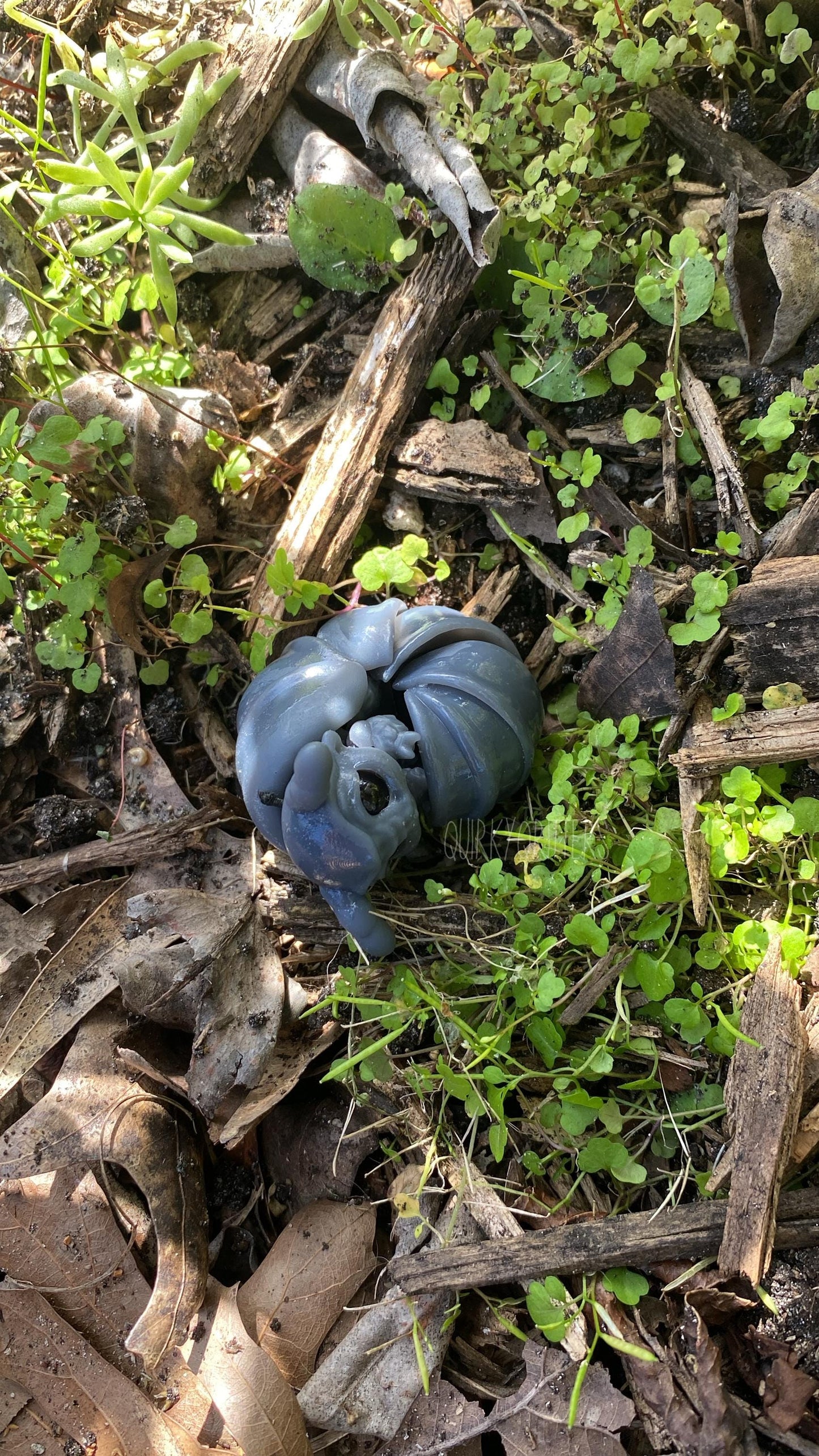 Pillbug Dragon: The Tiny Dragon Isopod Ball Joint Doll BJD