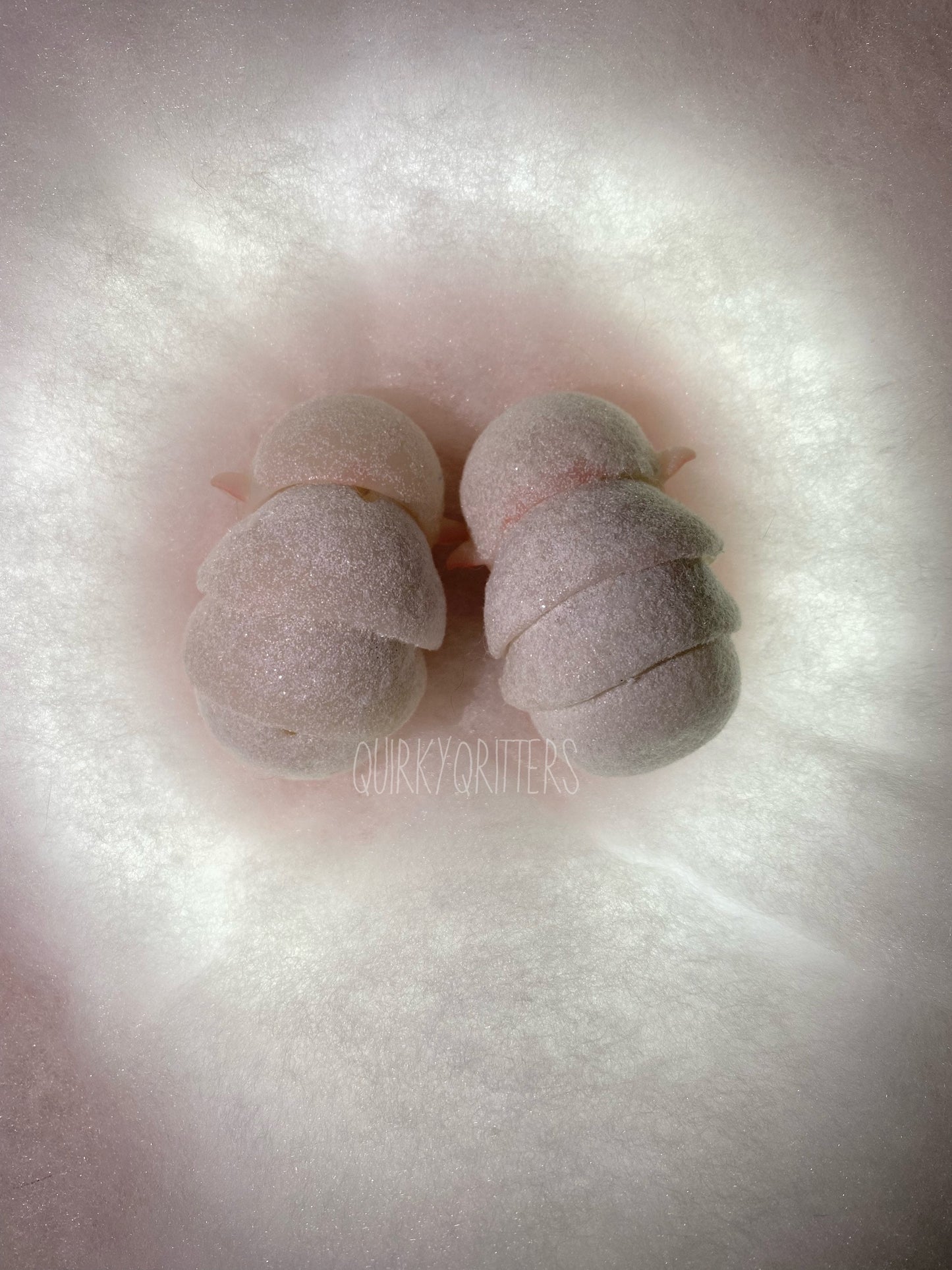 Snowball: The Ball Jointed Doll Winter Fairy